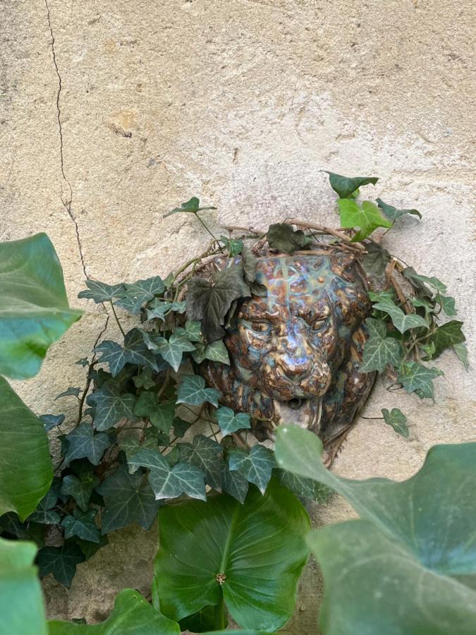 Face Au Palais Bed & Breakfast Avignon Ngoại thất bức ảnh