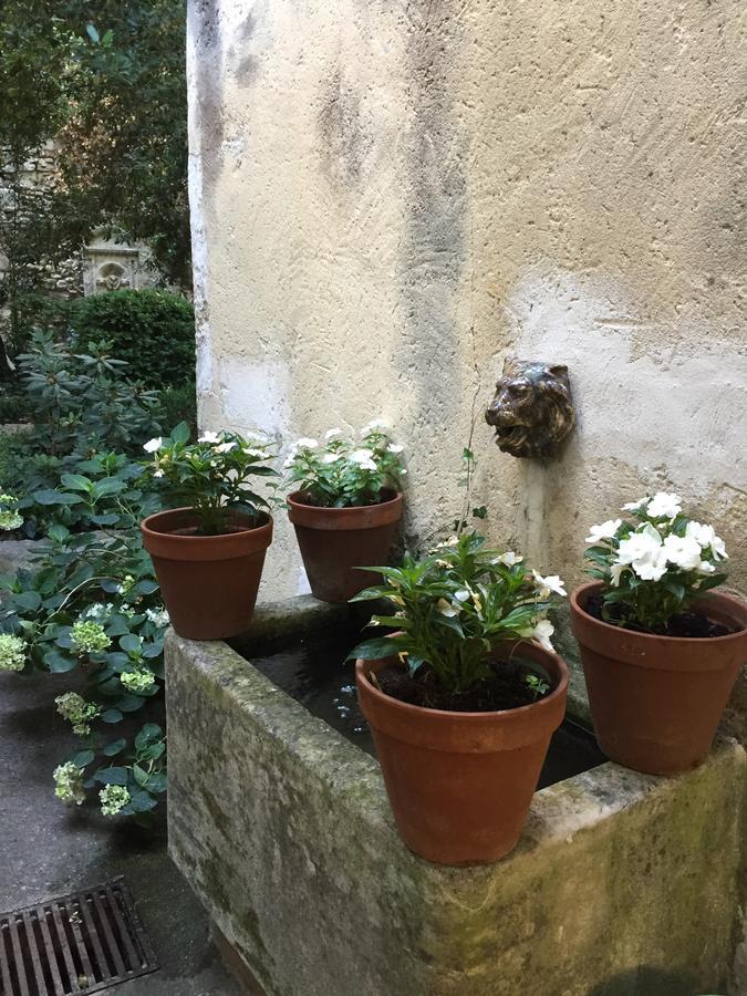 Face Au Palais Bed & Breakfast Avignon Ngoại thất bức ảnh